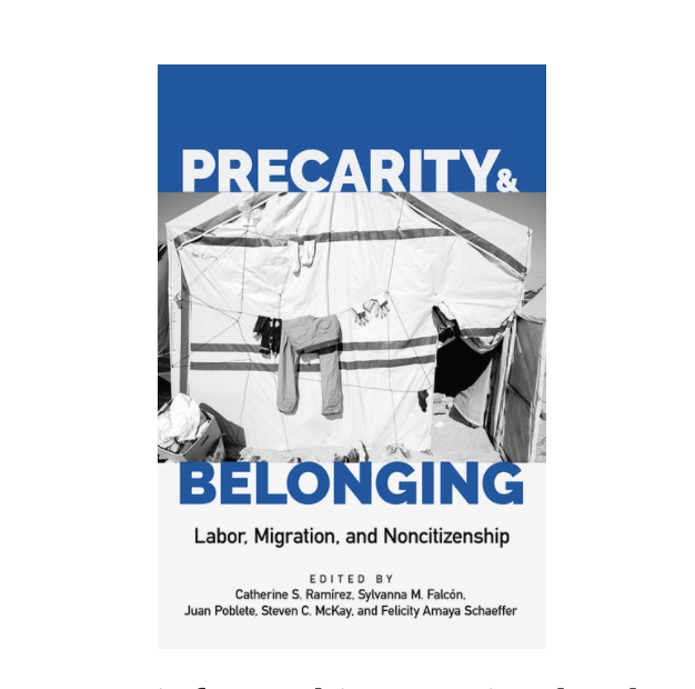 Precarity and Belonging book cover