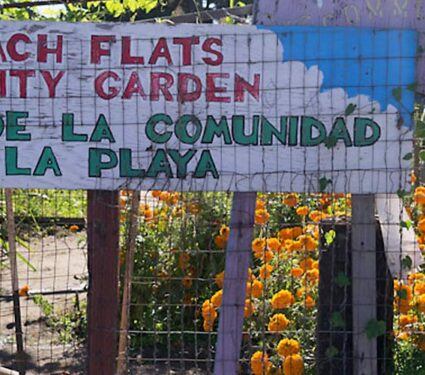 Beach Flats Community Garden