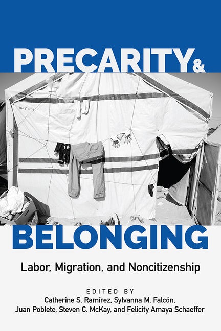 Precarity and Belonging book cover