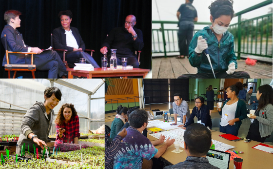 Clockwise from top left: three discussants on stage, someone sits outside using a pipette, two people working in a greenhouse, people talking around a table.