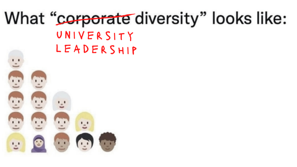 Pyramid showing decreasing diversity as you move up. With text reading "what 'corporate/university leadership diversity' looks like:"