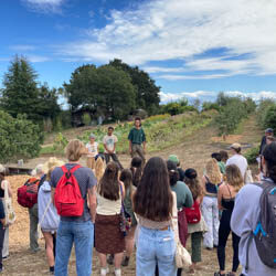 UC Santa Cruz Center for Agroecology student staff share their knowledge of organic agriculture with first-year students.