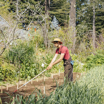 The Center for Agroecology offers an apprenticeship program that immerses seasoned beginners in experiential study of soil health and cultivation, plant physiology, and crop production and distribution.