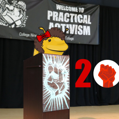 Practical activism conference