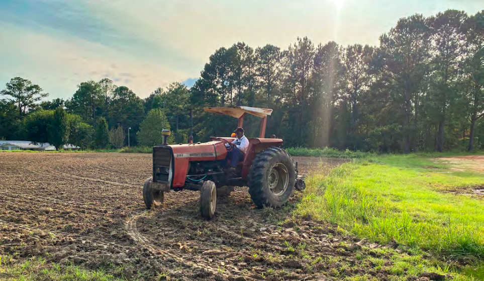 Selling Out the Delta Farmland Investment and Small Farmer Land Access