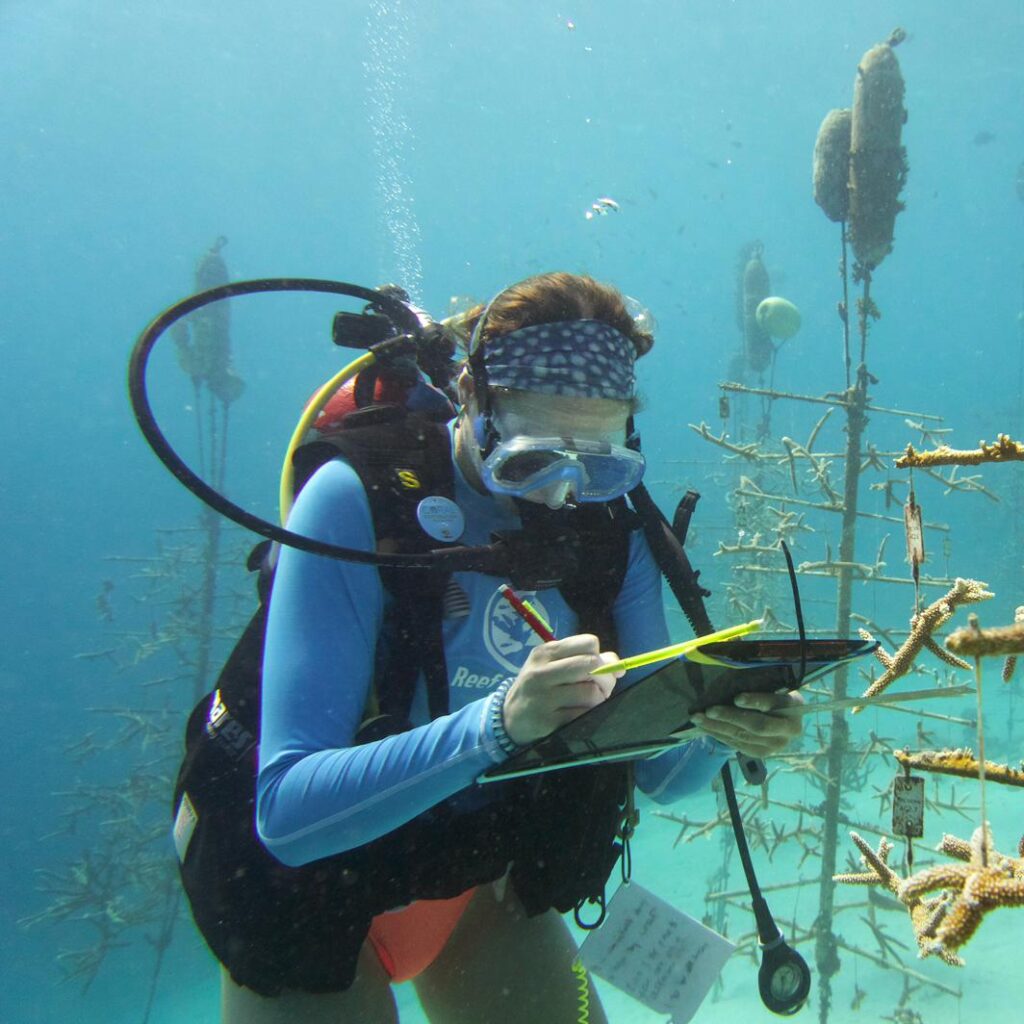 megan deevy underwater